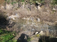 cantara piccole gole19022012 051